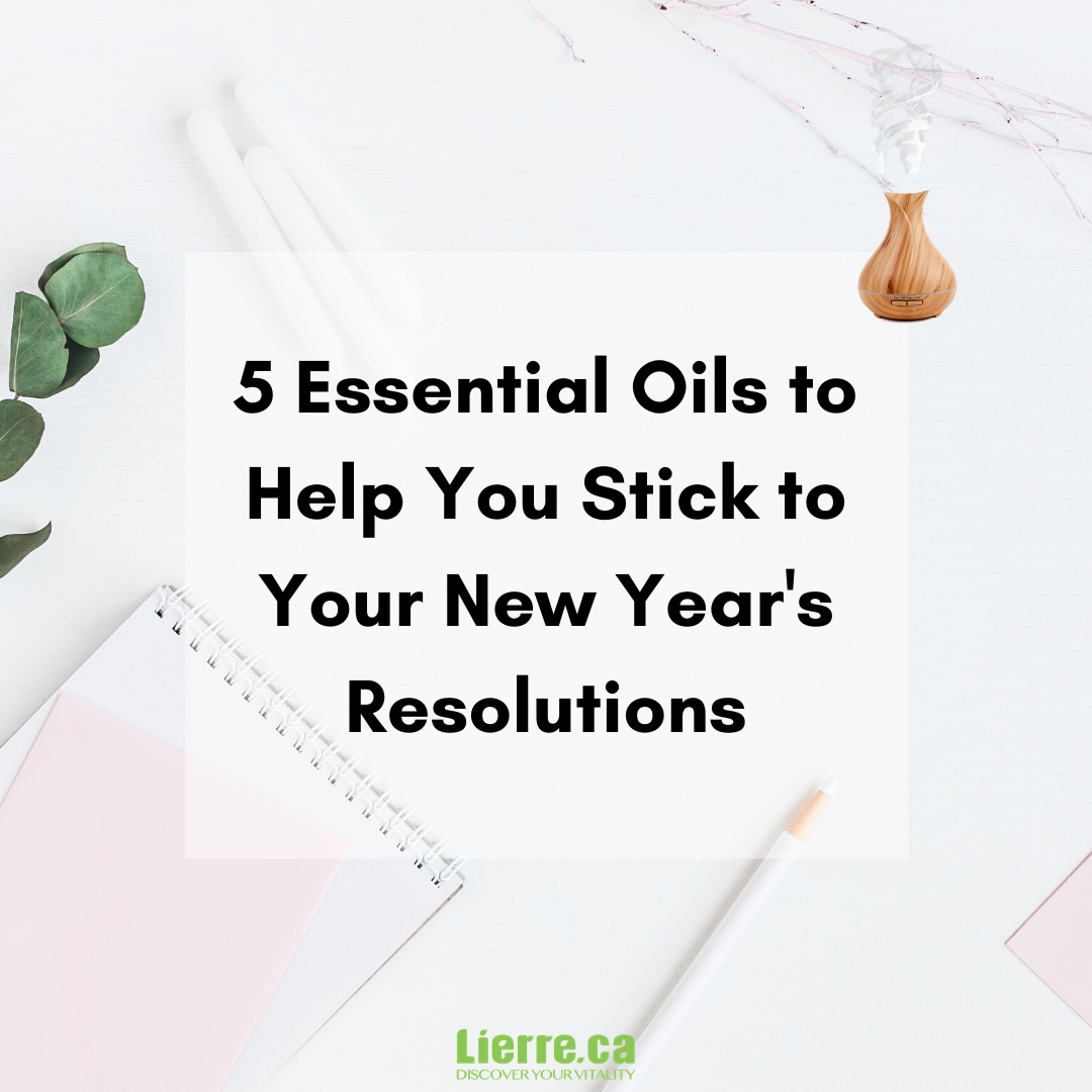 Lierre.ca Canada New Year Resolutions for 2020 ideas - Christmas/Holiday Gift Guide Ideas and Boxing Day sales 90% OFF