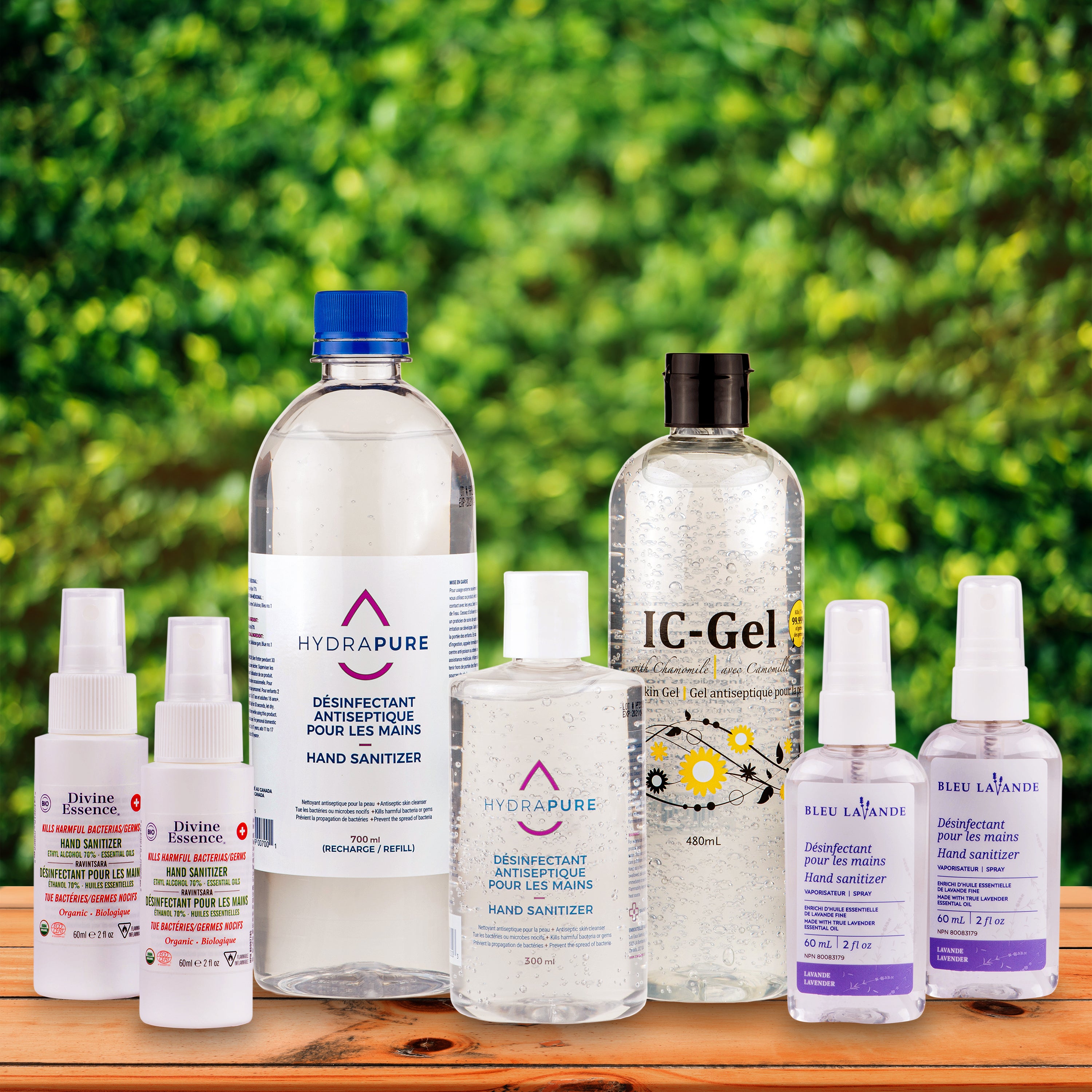Disinfectant hand sanitizer approved by Health Canada