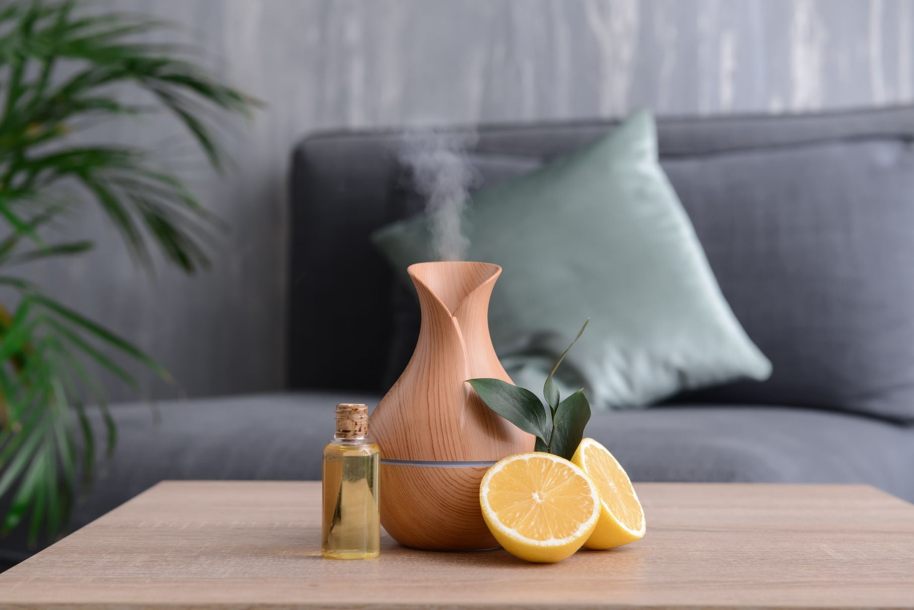 An Aromatherapy Diffuser Help Improve My Body, Mind, And Spirit