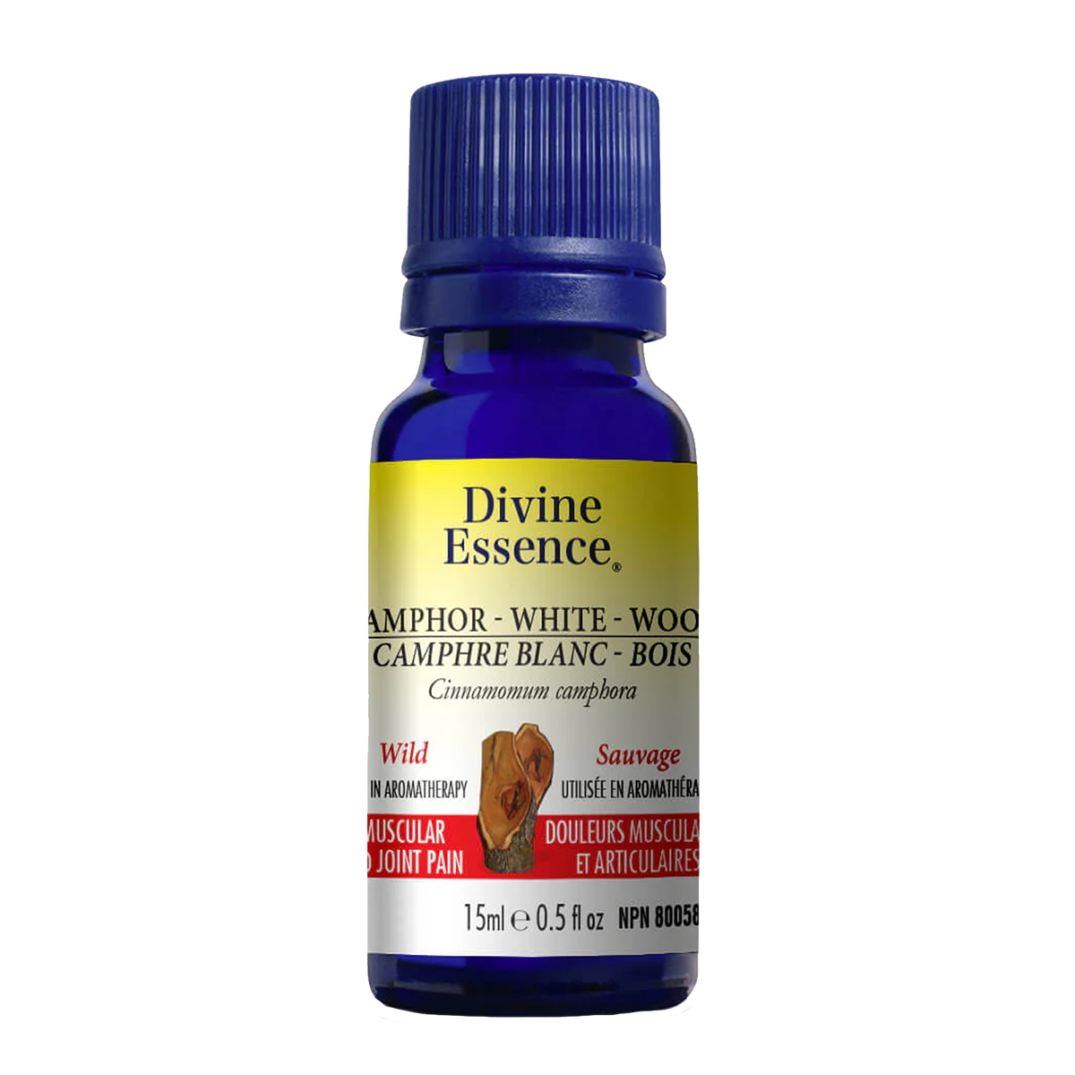 White Camphor Wood Essential Oil 15ml, DIVINE ESSENCE