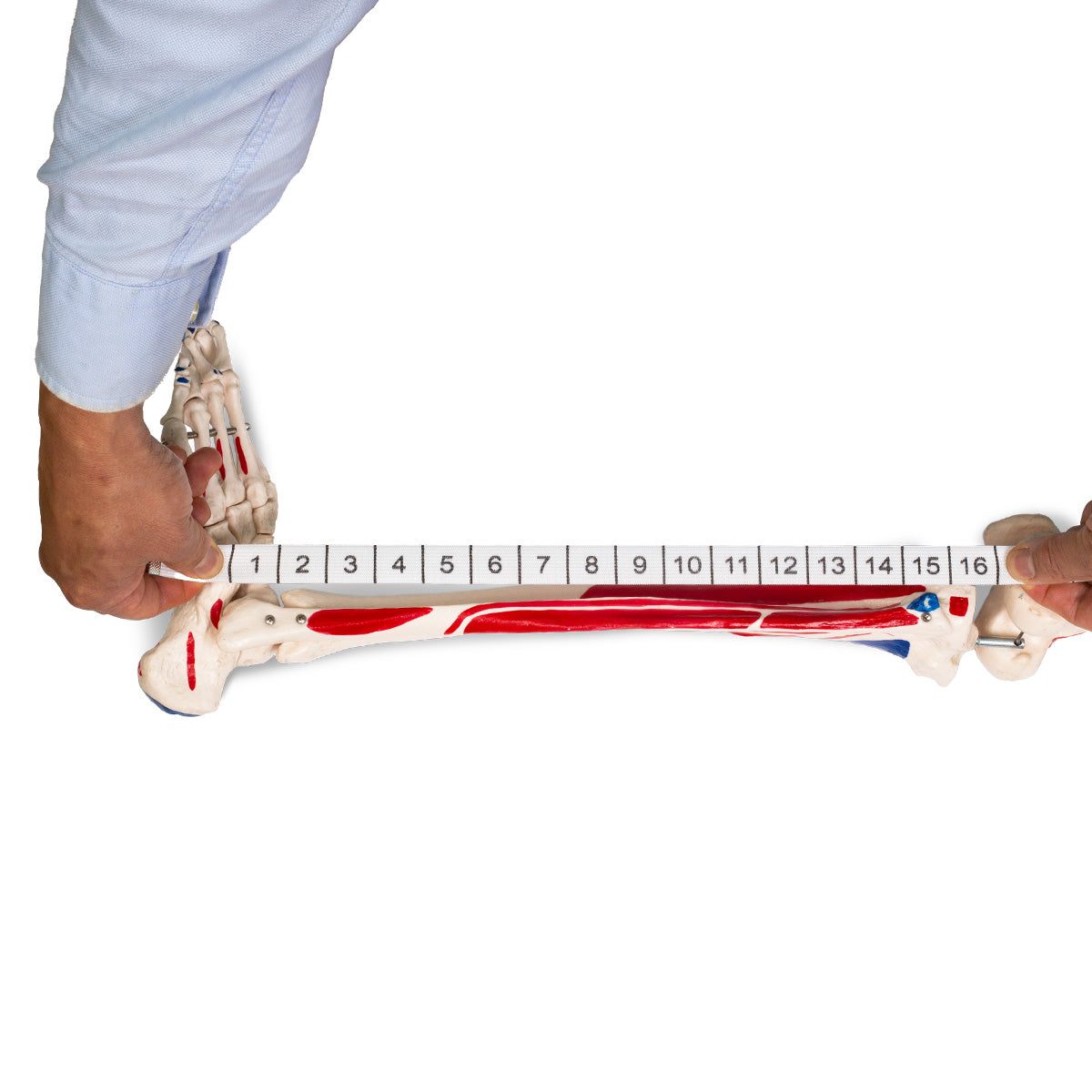 Ruban de mesure élastique pour l’acupuncture