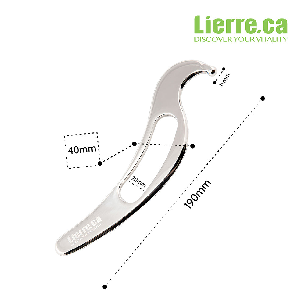 IASTM Tool Bird shaped