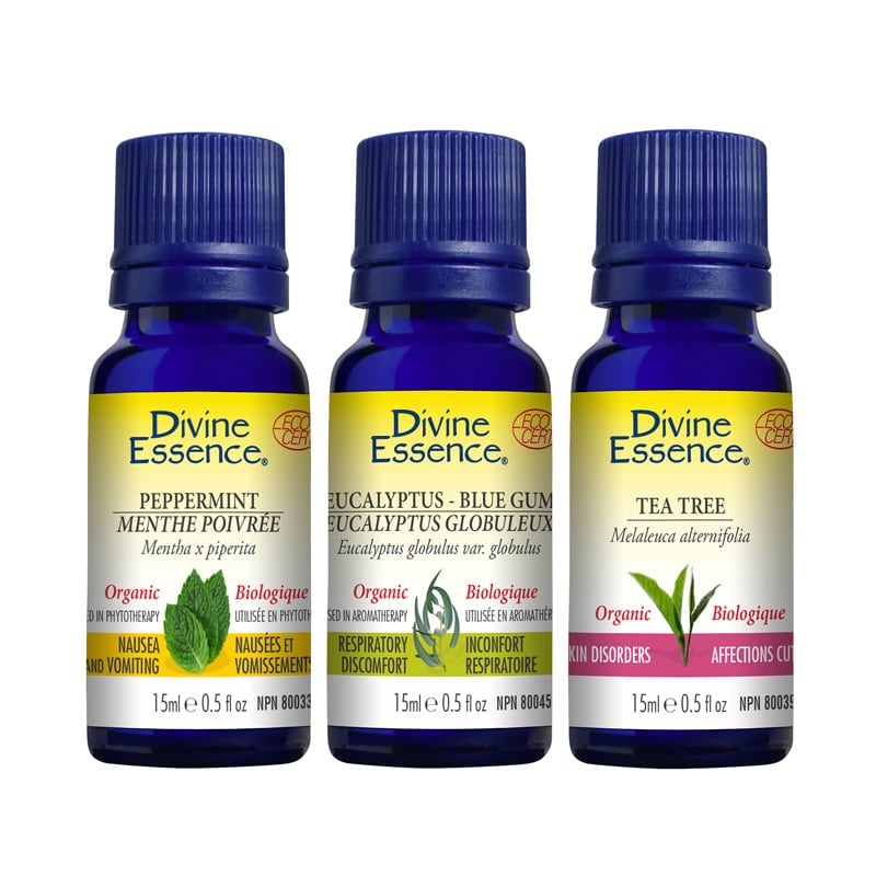 Pain and Cold Relief Essential Oil Set organic DIVINE ESSENCE