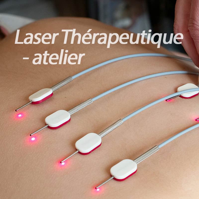 Therapeutic Laser Workshop