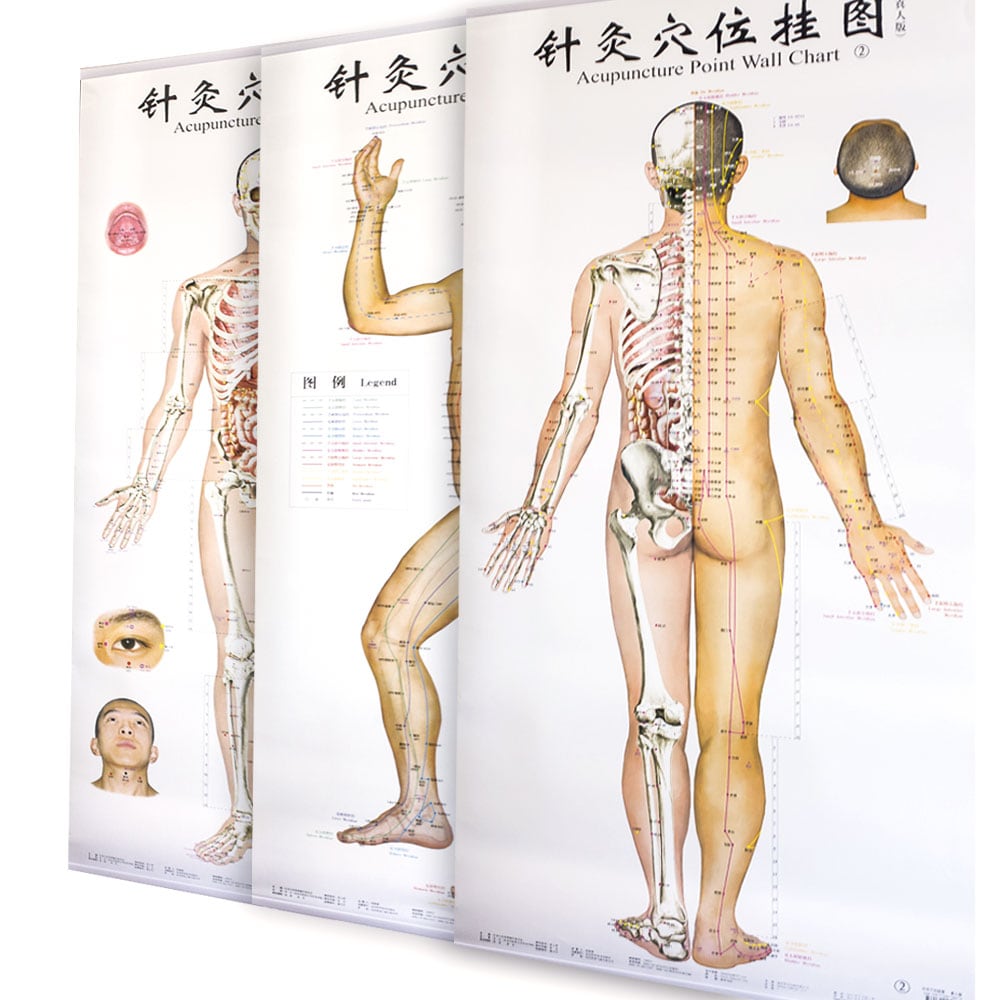 Acupuncture Charts set of 3