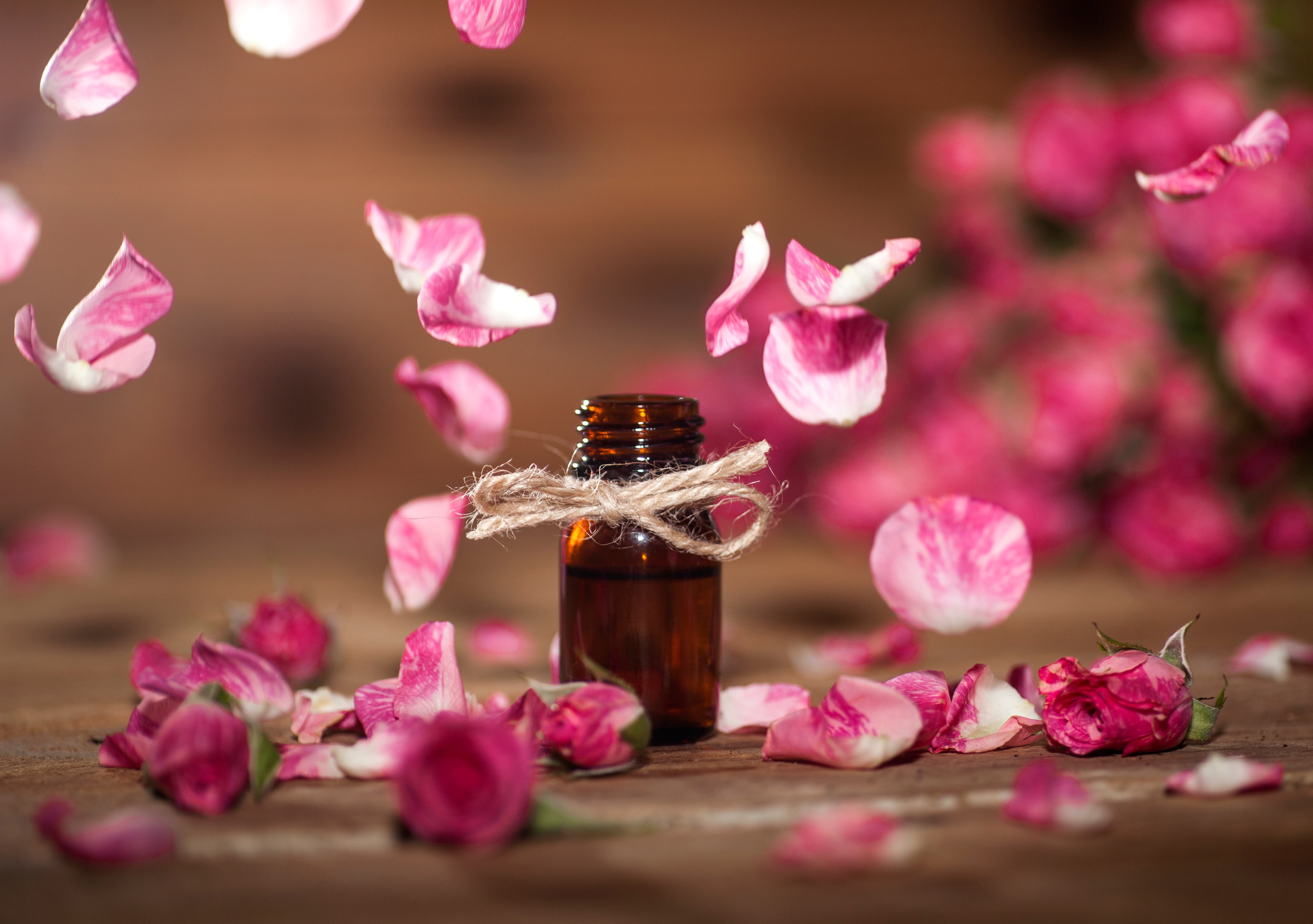 buy essential oils for headache in canada at lierre.ca