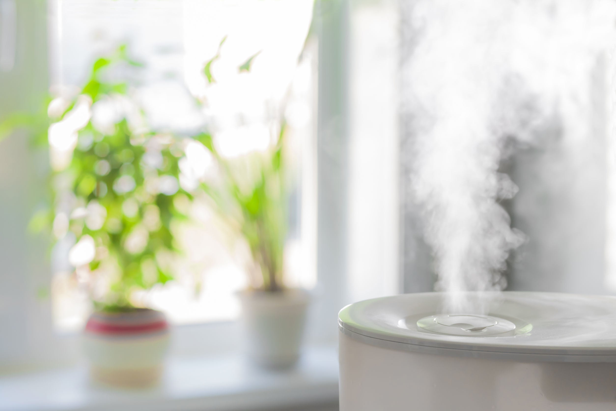 Buy humidifier from lierre.ca