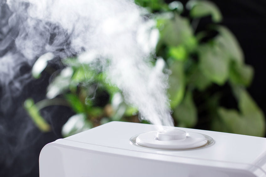 Benefits of a Humidifier in the Fall