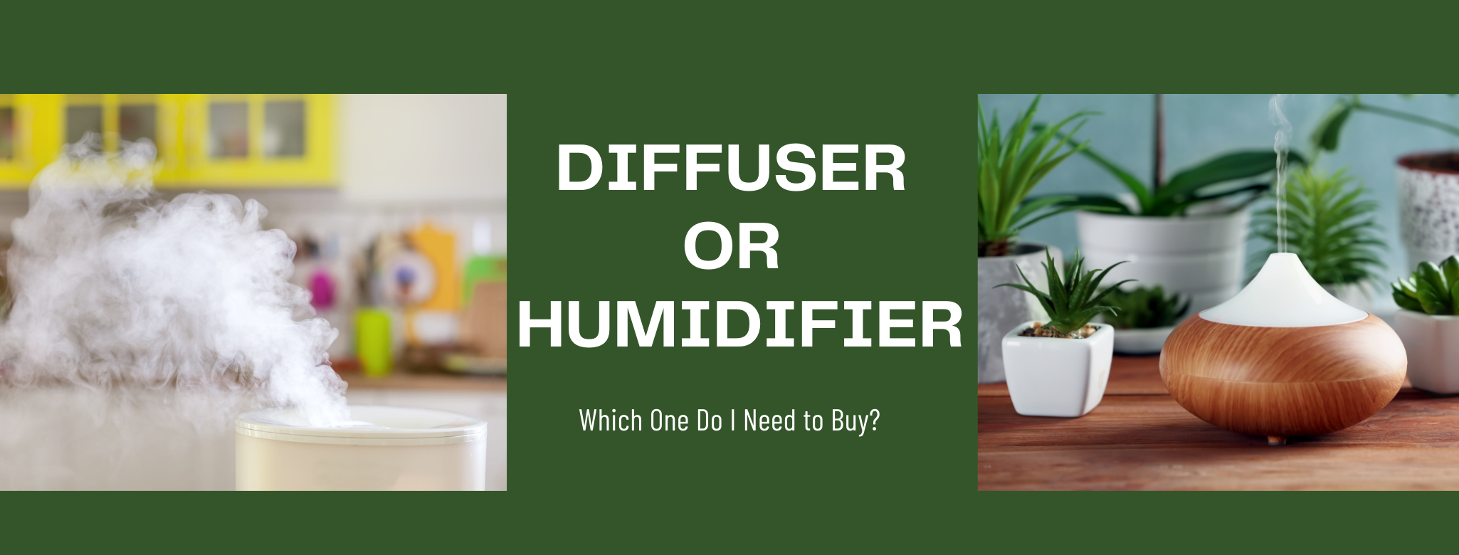 Diffuser or Humidifier, Which One Do I Need to Buy