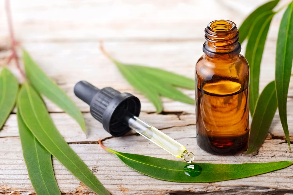 Best Essential Oils to prevent and relieve colds 