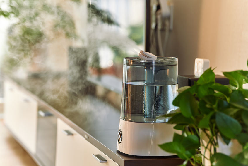 shop best humidifier in canada at lierre.ca