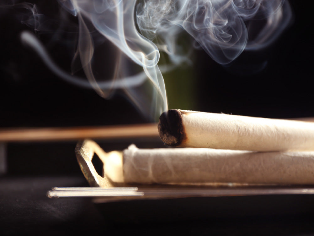 Moxa-rolls-Moxa-sticks-lierre-ca