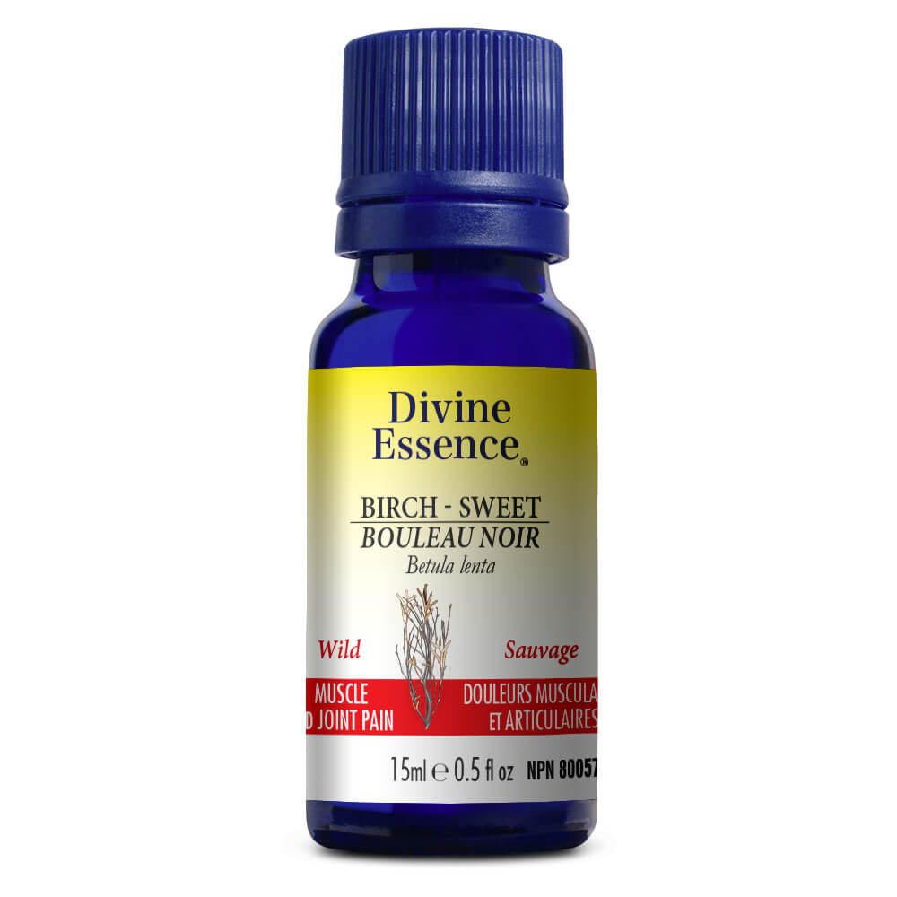 Birch Sweet wild Essential oil 15ml Divine Essence