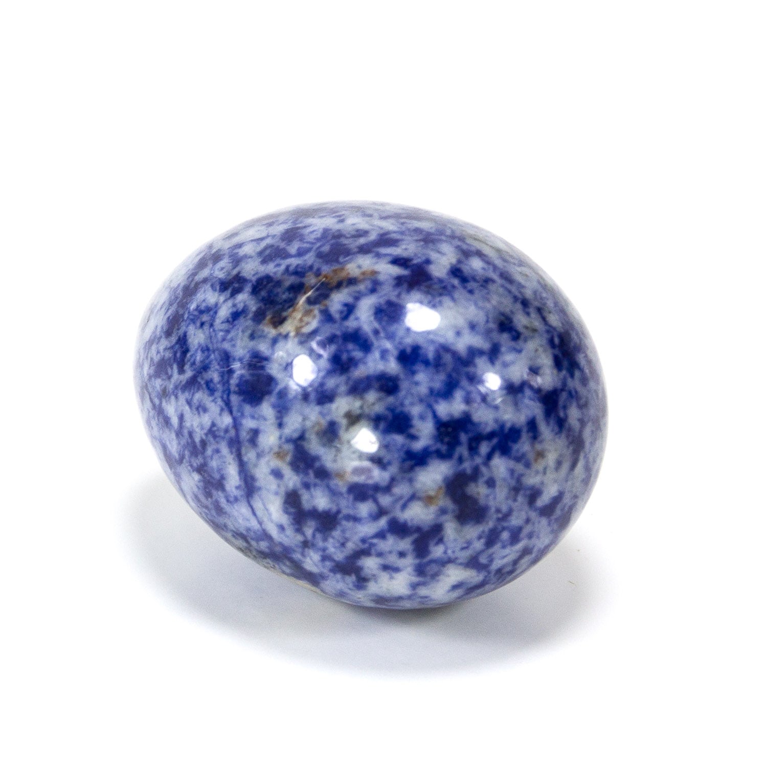 Natural Handcarved Sodalite Gemstone Egg