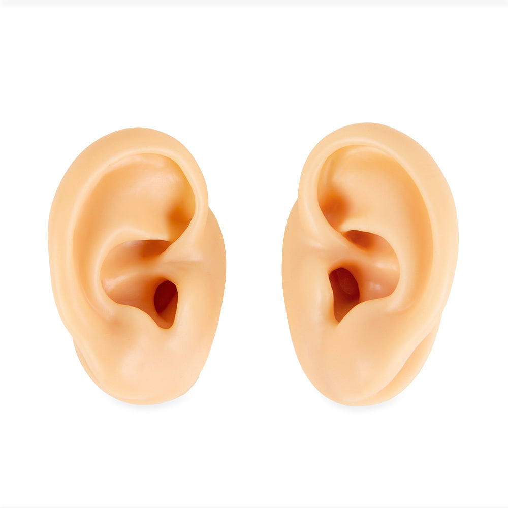 Life-size acupuncture ear model (Pair)