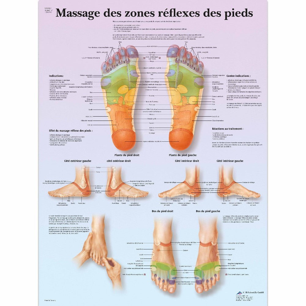 Foot Reflex Zone Massage Chart