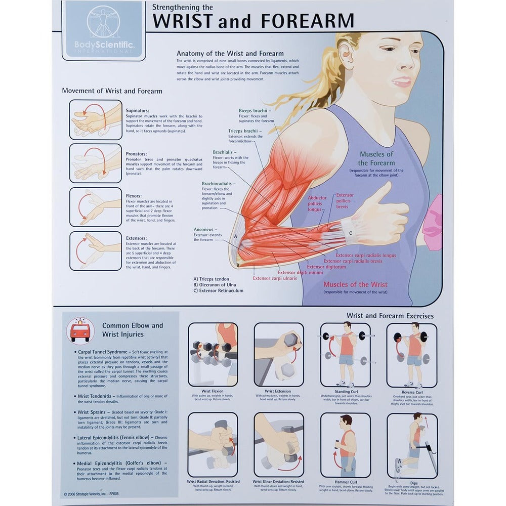 Strengthening the Forearm and Wrist Chart