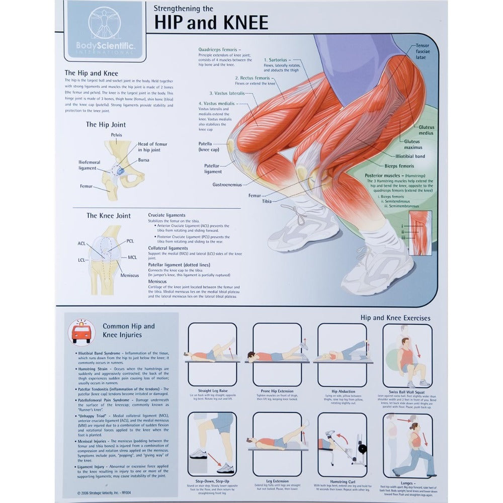 Strengthening the Hip and Knee Chart