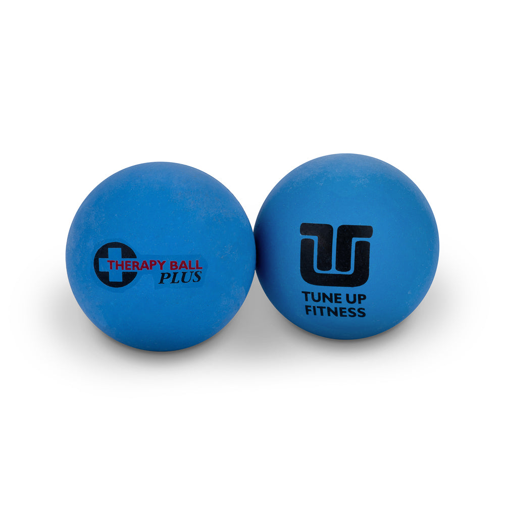 Tune Up Fitness Therapy Ball Plus Pair in Tote