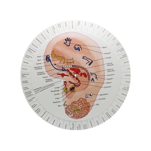 Ear Reflexology Wheel (French)