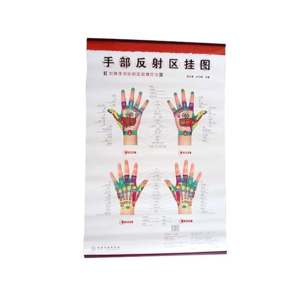 Hand Reflexology Chart (English/Chinese)