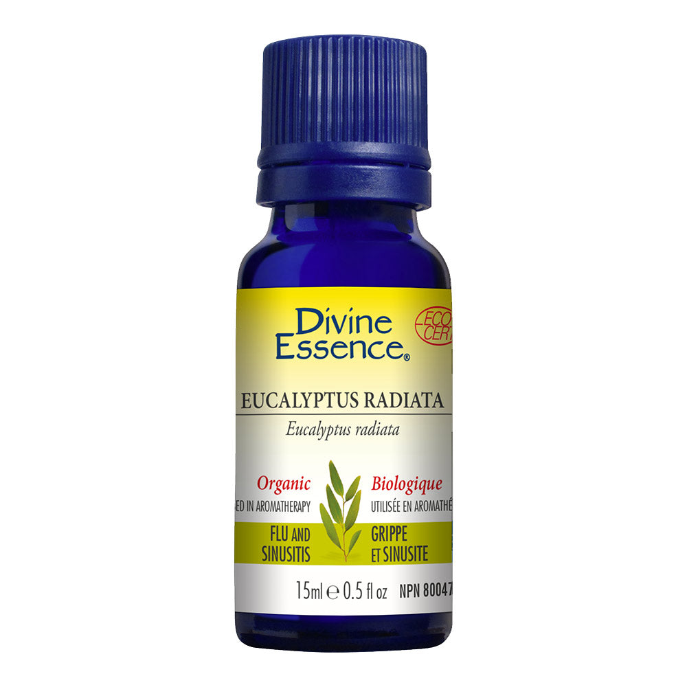 Eucalyptus Radiata Organic Essential Oil, DIVINE ESSENCE