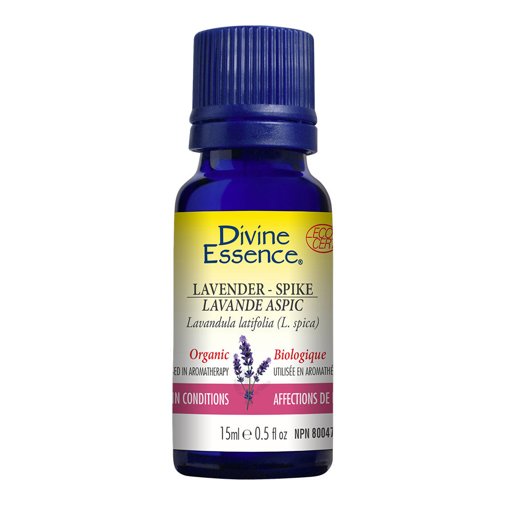 Lavender Spike Organic Essential Oil 15ml, DIVINE ESSENCE