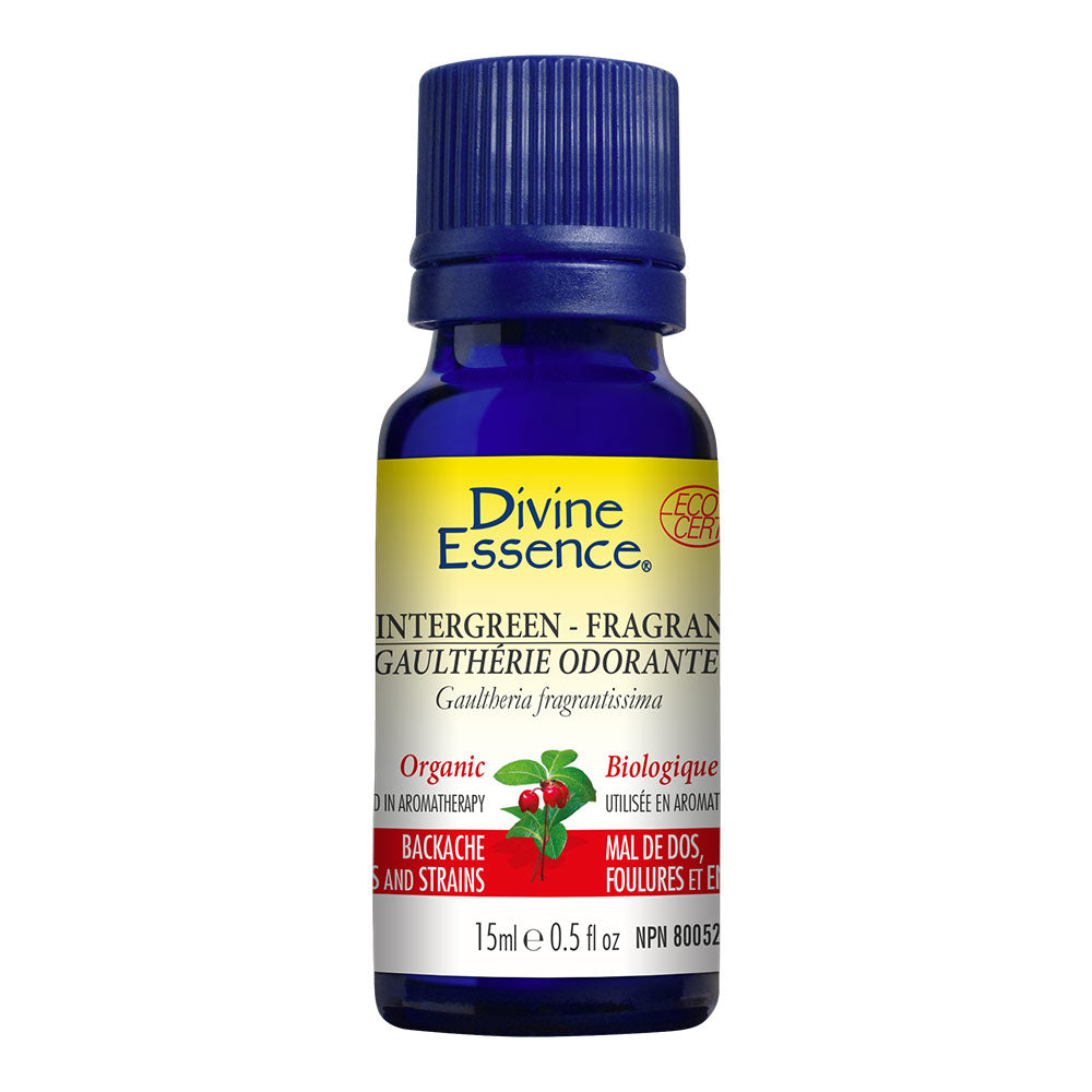 Wintergreen Fragrant Organic Essential Oil 15ml, DIVINE ESSENCE