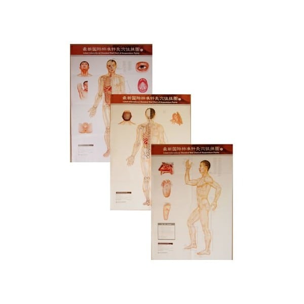 Acupuncture Points Wall Charts